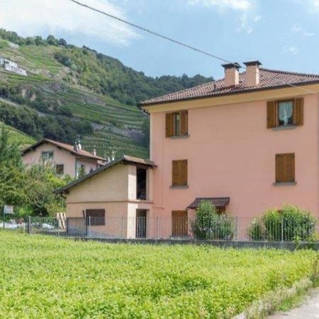 Tresenda Joy Valtellina Per Amanti Degli Animali酒店 外观 照片